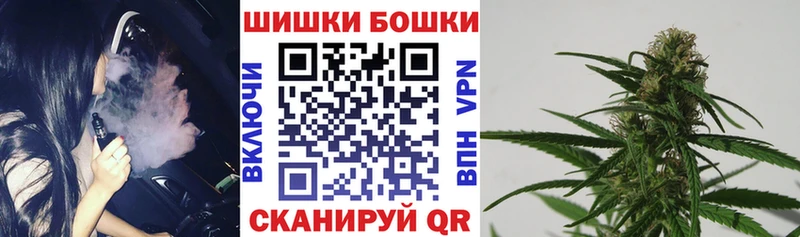 Виды наркотиков купить Гдов Cocaine  Гашиш  Alpha-PVP  kraken tor  Бошки Шишки  АМФ 