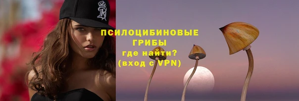 apvp Волоколамск