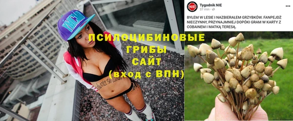 apvp Волоколамск